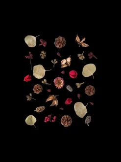 Outlet Assorterte Naturdekorasjoner Julepynt|Dekorasjon