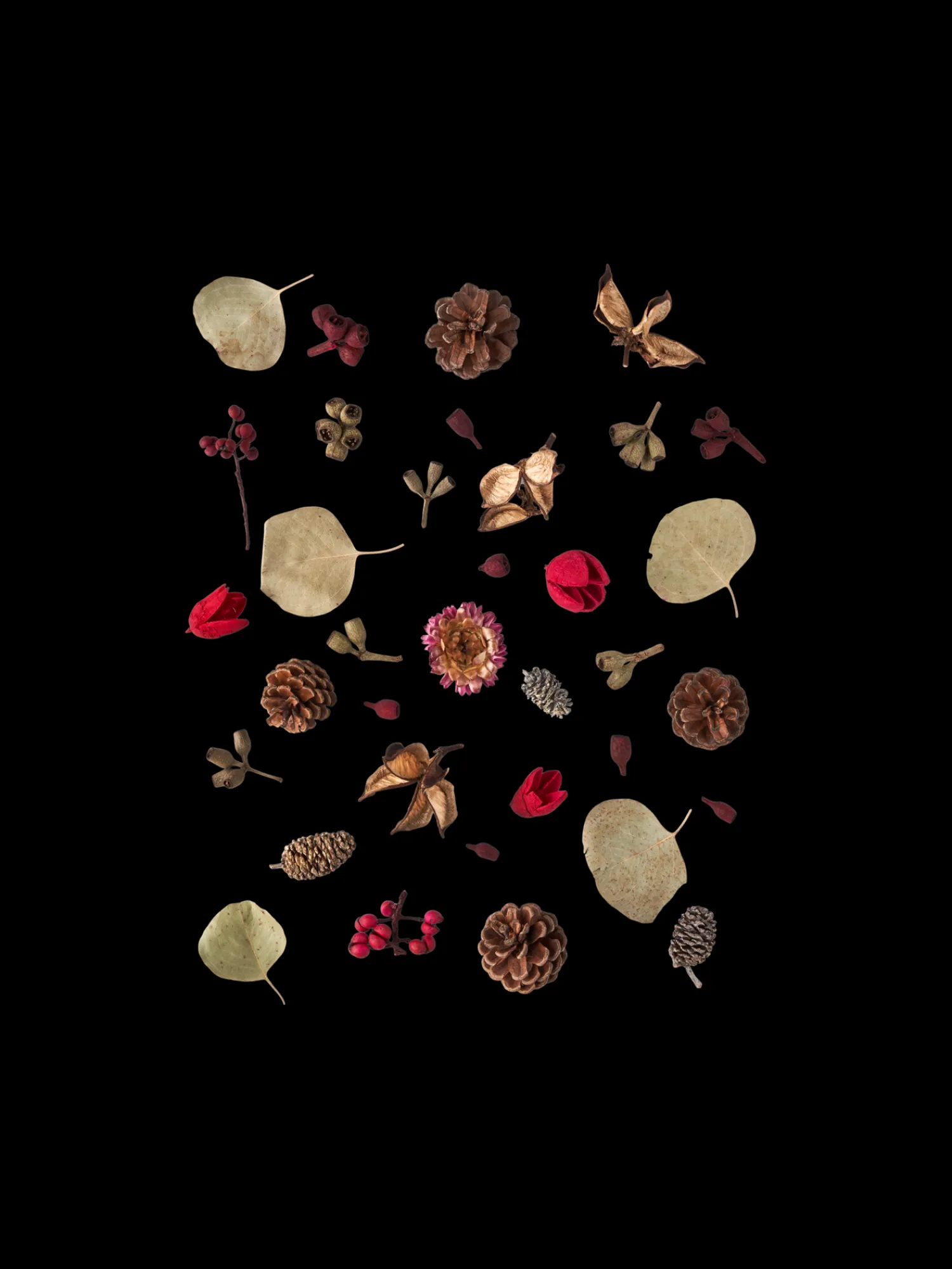 Outlet Assorterte Naturdekorasjoner Julepynt|Dekorasjon