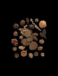 Sale Assorterte Naturlige Dekorasjoner Julepynt|Dekorasjon