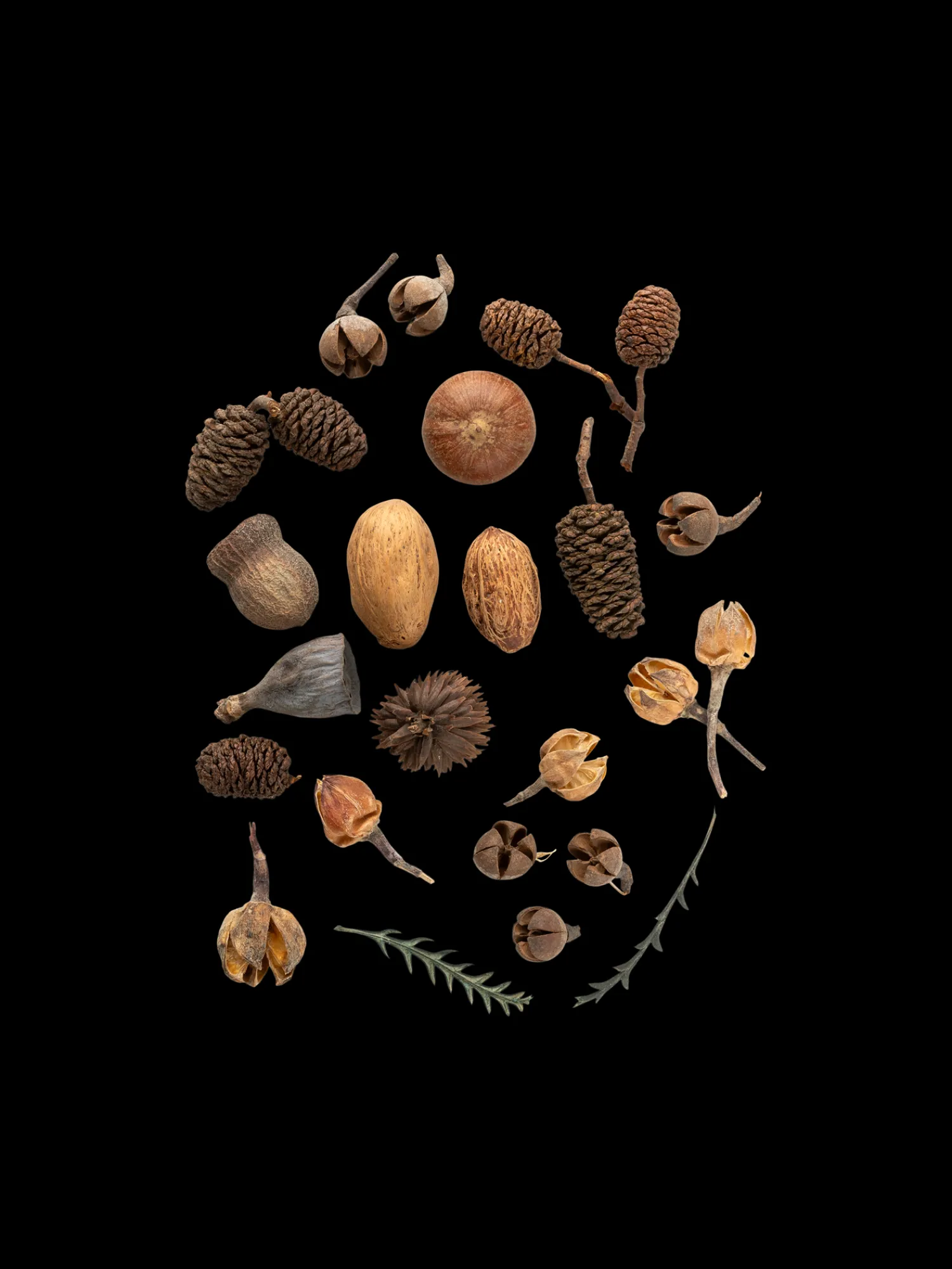 Sale Assorterte Naturlige Dekorasjoner Julepynt|Dekorasjon