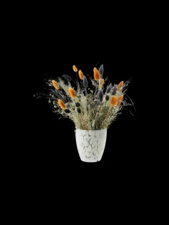 Outlet Blomsterpotte Vaser Og Potter