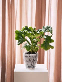 Outlet Blomsterpotte Vaser Og Potter