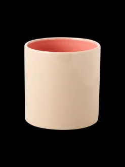 Blomsterpotte Vaser Og Potter