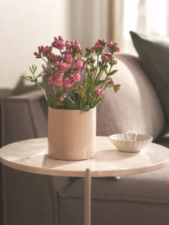 Blomsterpotte Vaser Og Potter