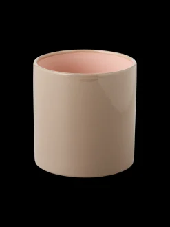 Blomsterpotte Vaser Og Potter