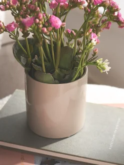 Blomsterpotte Vaser Og Potter