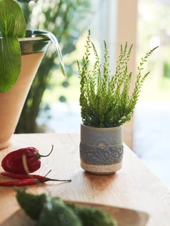 Online Blomsterpotte Vaser Og Potter