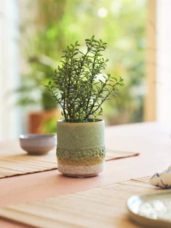 Online Blomsterpotte Vaser Og Potter