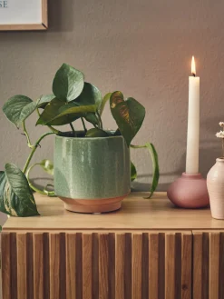 Blomsterpotte Vaser Og Potter