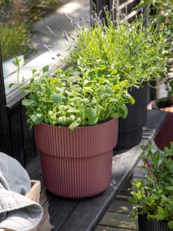 Hot Blomsterpotte Milly Ø29,9 Cm Vaser Og Potter