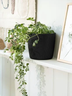 Outlet Blomsterpotte Milly Ø16,9 Cm Vaser Og Potter