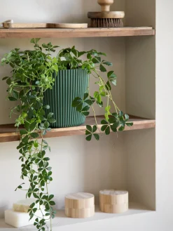 Online Blomsterpotte Milly Ø19,6 Cm Vaser Og Potter