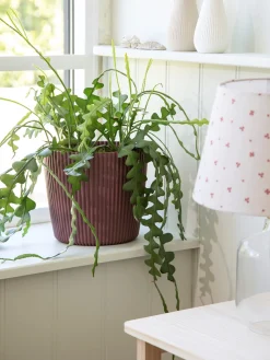 New Blomsterpotte Milly Ø23,6 Cm Vaser Og Potter