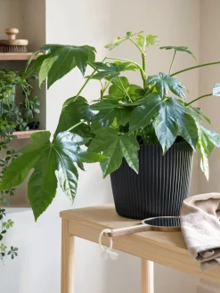 Sale Blomsterpotte Milly Ø23,6 Cm Vaser Og Potter