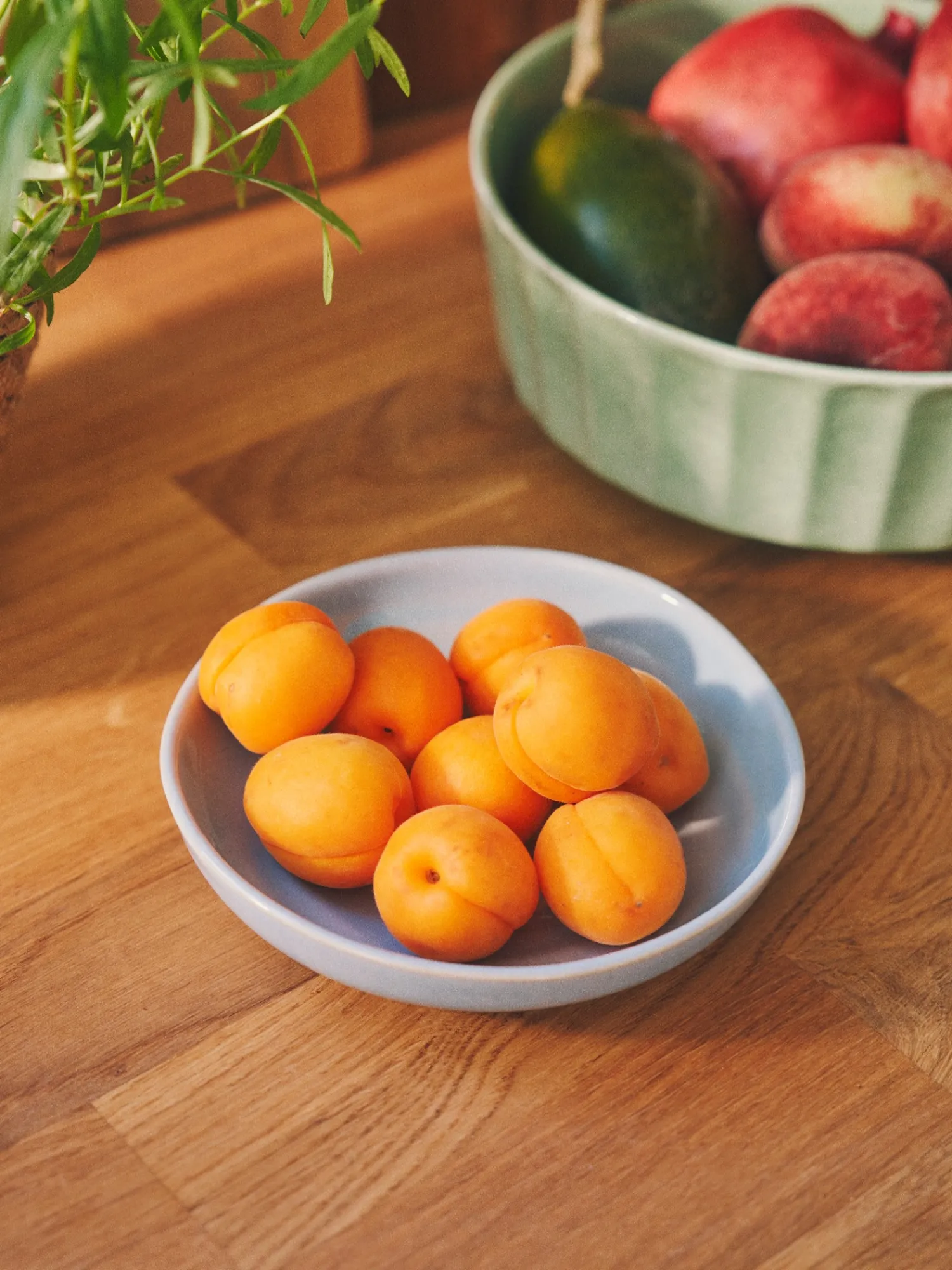 Outlet Bolle Servise