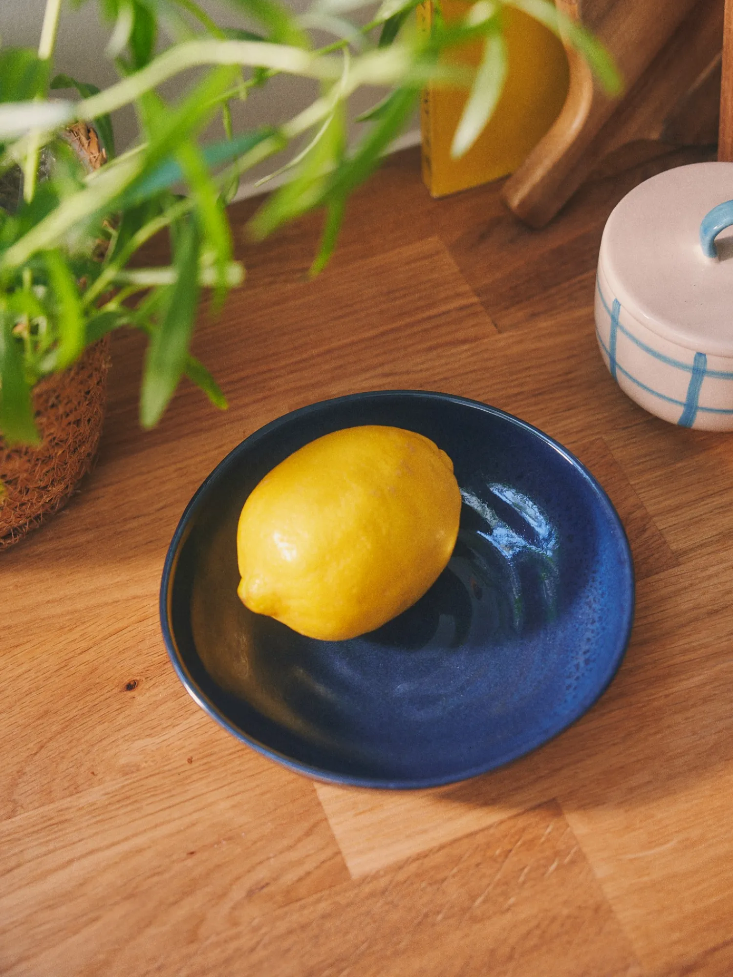 Outlet Bolle Servise