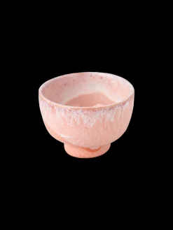 Online Bolle Servise