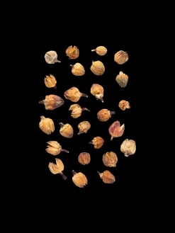 Dekorative Blomsterhoder Julepynt|Dekorasjon