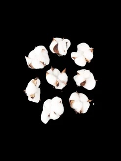 Sale Dekorative Bomullsblomster Dekorasjon