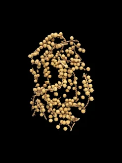 Discount Dekorative Paprikaer Julepynt|Dekorasjon