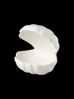 Clearance Dekorativt Skjell Dekorasjon