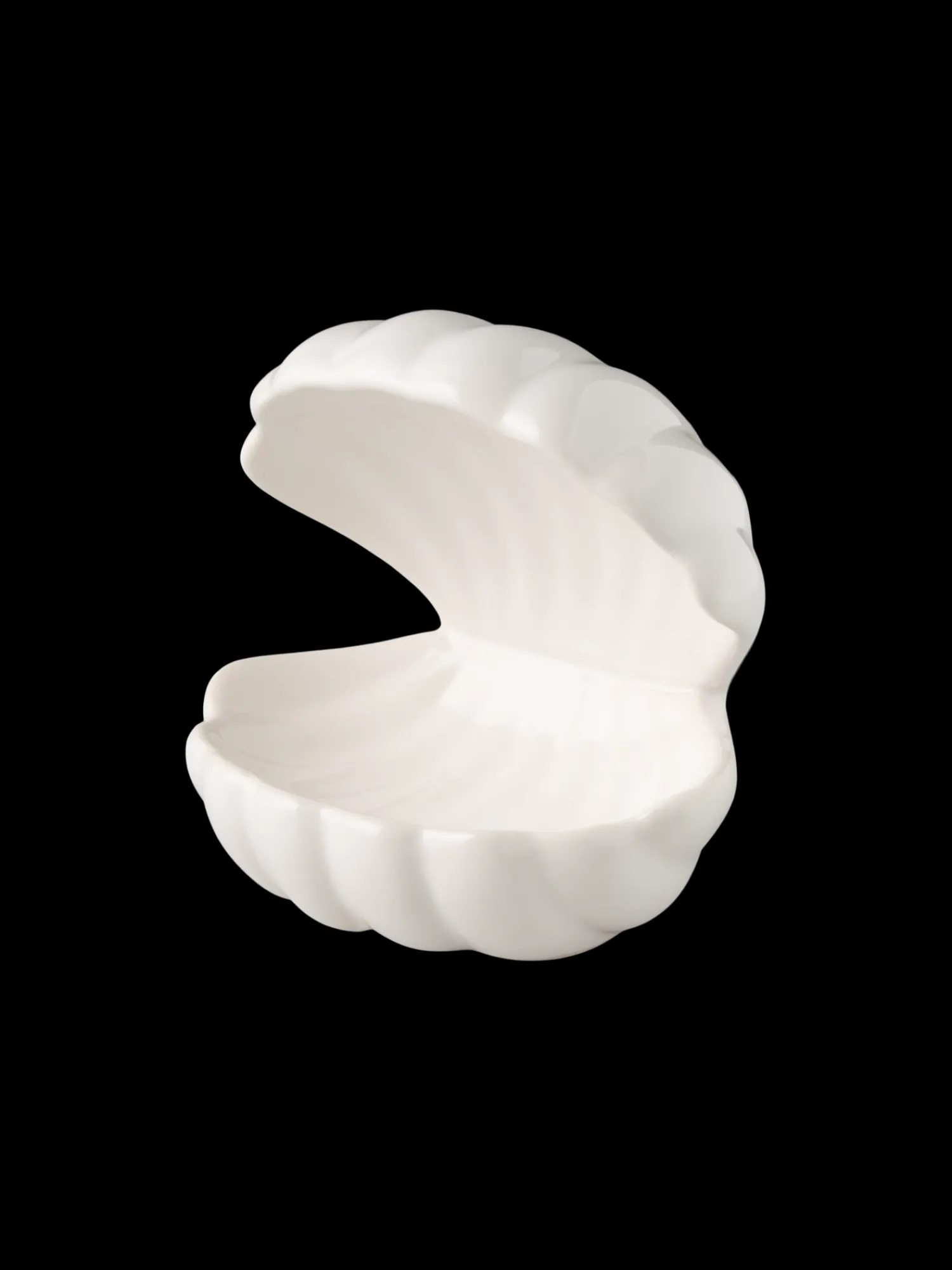 Clearance Dekorativt Skjell Dekorasjon