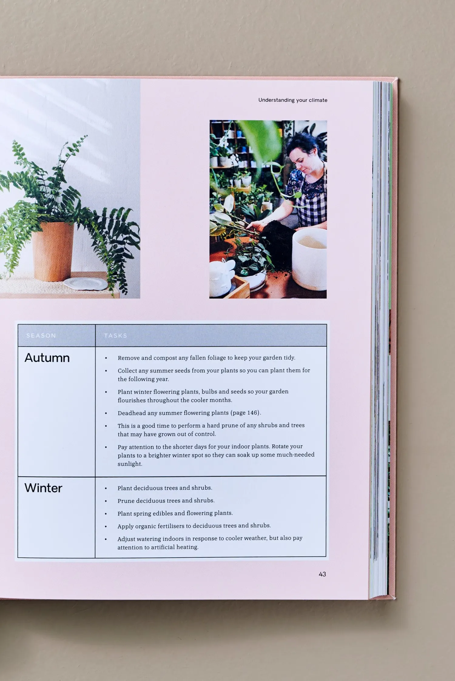 Sale Green Salongbordbøker