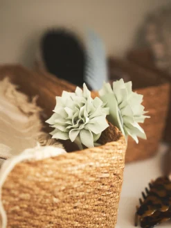 Hot Hårspenne Hårspenner|Hårtilbehør