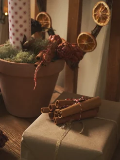 Best Kanel Julepynt|Dekorasjon