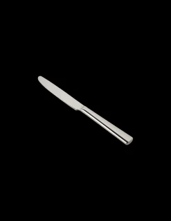 New Kniv Med Blank Overflate Servise