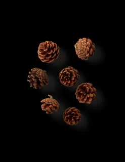 Clearance Kongler Julepynt|Dekorasjon