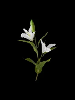 Clearance Kunstig Blomst – Lilje Dekorasjon