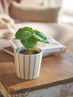 Clearance Kunstig Blomst I Potte Dekorasjon