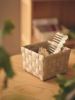 Sale Oppbevaringseske Oppbevaring