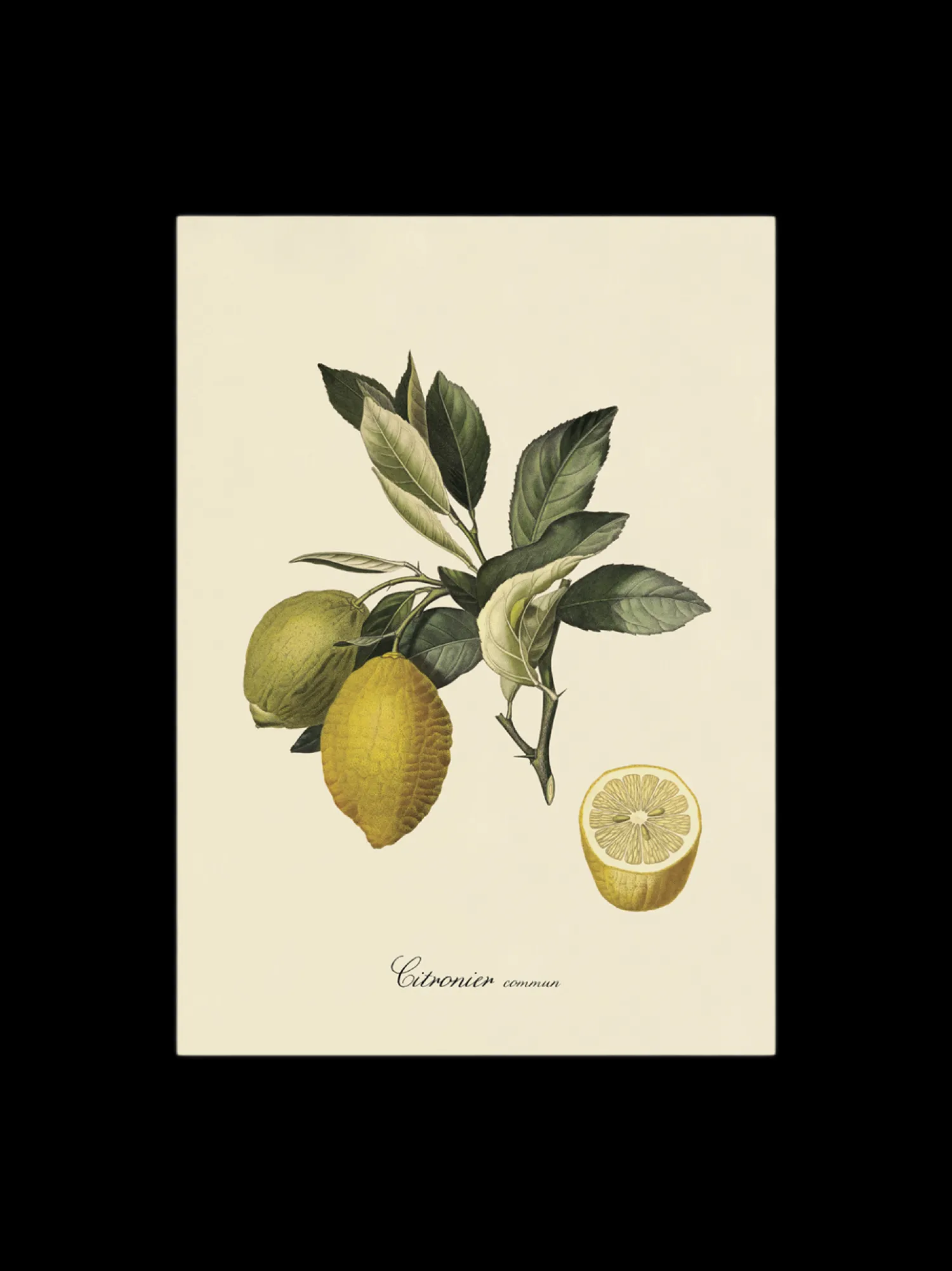 Plakat 50 X 70 Rammer Og Plakater