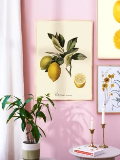 Plakat 50 X 70 Rammer Og Plakater