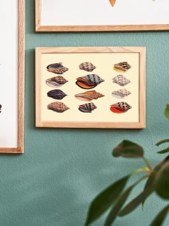 Outlet Plakat 15 X 21 Cm Rammer Og Plakater