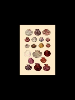 Best Plakat 15 X 21 Cm Rammer Og Plakater