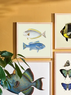 Clearance Plakat 24 X 24 Cm Rammer Og Plakater