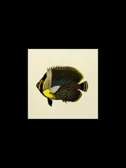 Sale Plakat 24 X 24 Cm Rammer Og Plakater