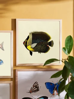 Sale Plakat 24 X 24 Cm Rammer Og Plakater