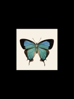 Clearance Plakat 24 X 24 Cm Rammer Og Plakater