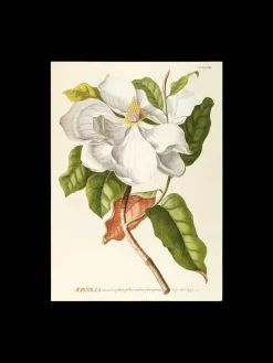 Sale Plakat 50 X 70 Cm Rammer Og Plakater