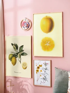 Clearance Plakat 50 X 70 Cm Rammer Og Plakater