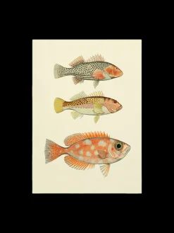 Discount Plakat 50 X 70 Cm Rammer Og Plakater