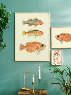 Discount Plakat 50 X 70 Cm Rammer Og Plakater