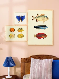 Plakat 50 X 70 Cm Rammer Og Plakater