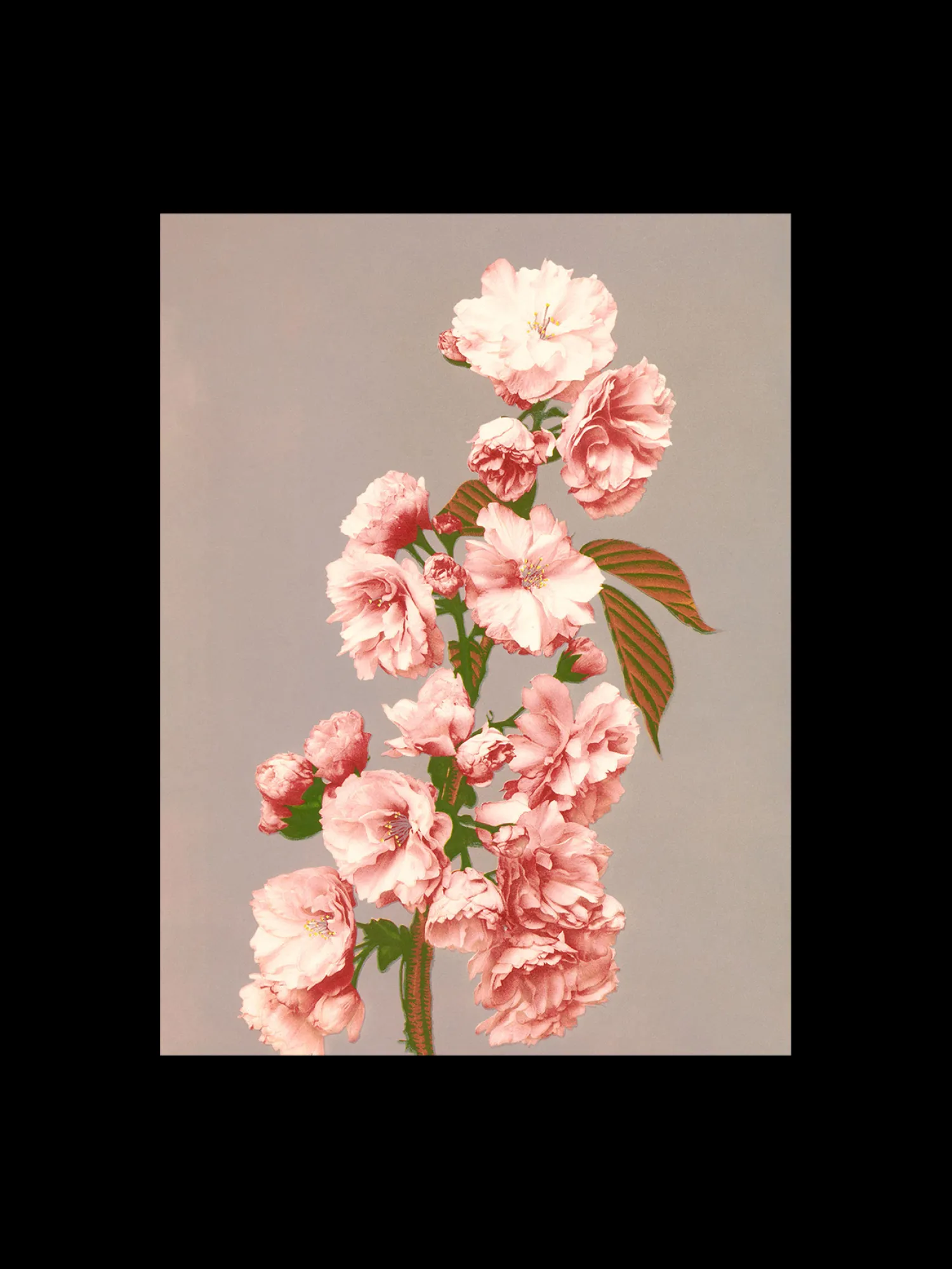 Discount Plakat 50 X 70 Cm Rammer Og Plakater