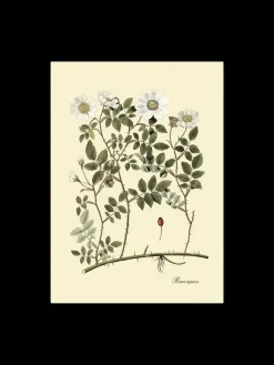 Discount Plakat 50 X 70 Cm Rammer Og Plakater