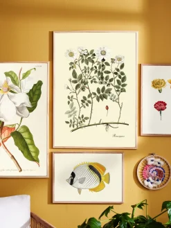 Discount Plakat 50 X 70 Cm Rammer Og Plakater